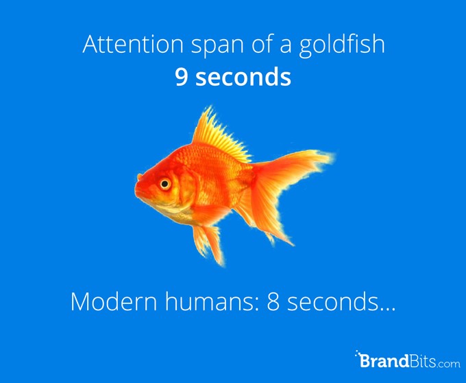 Goldfish have larger attentionspan than humans